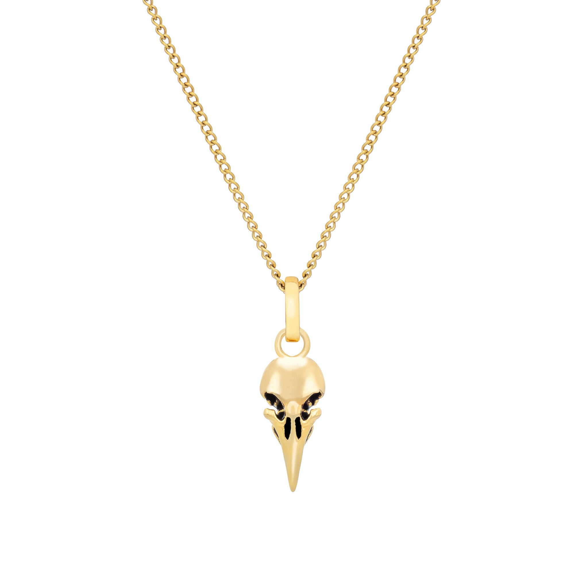 Little Rooms Bird Skull Necklace