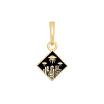 Catastrophe Charm