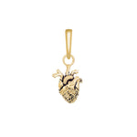 Chambers Charm