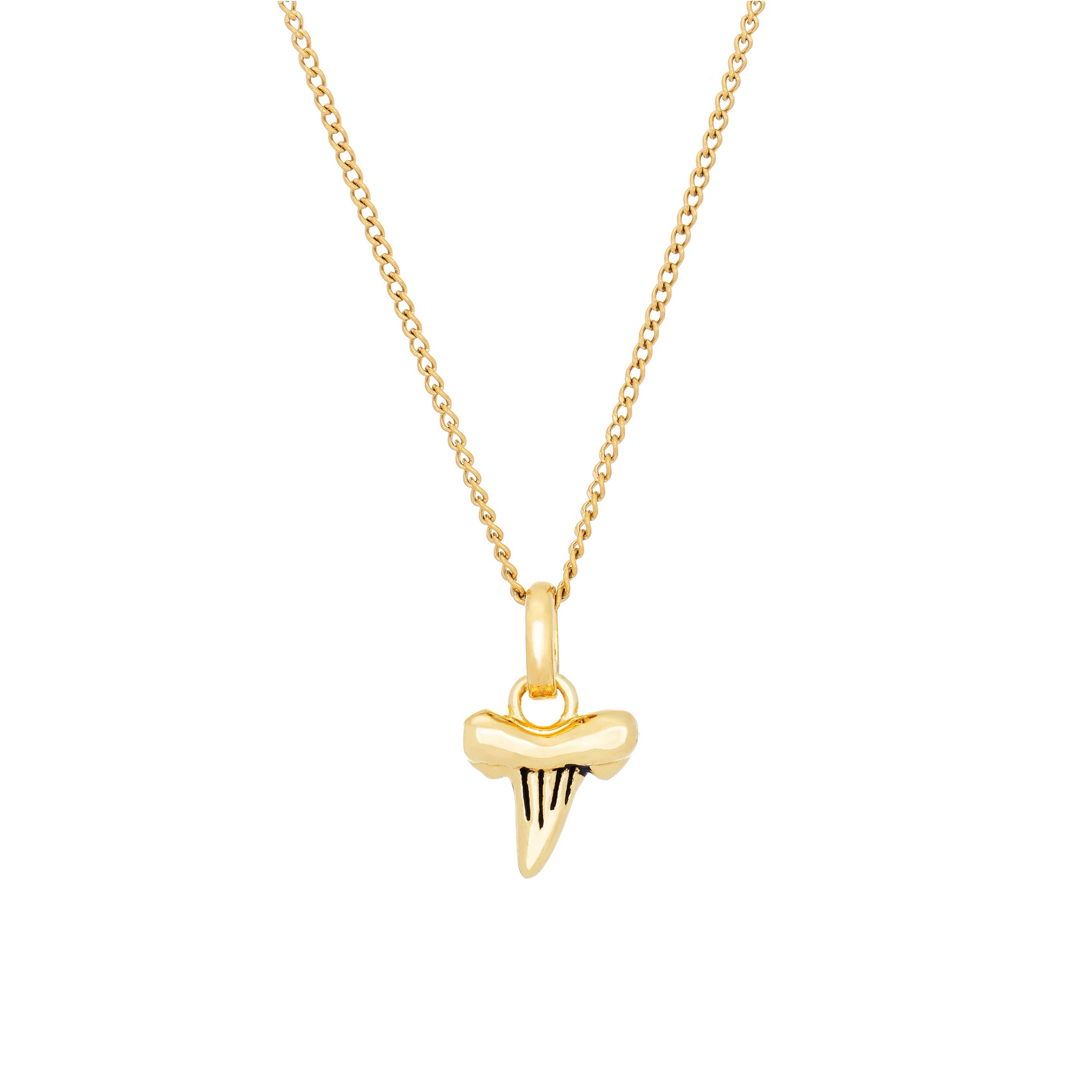 Little Rooms Shark Tooth Necklace