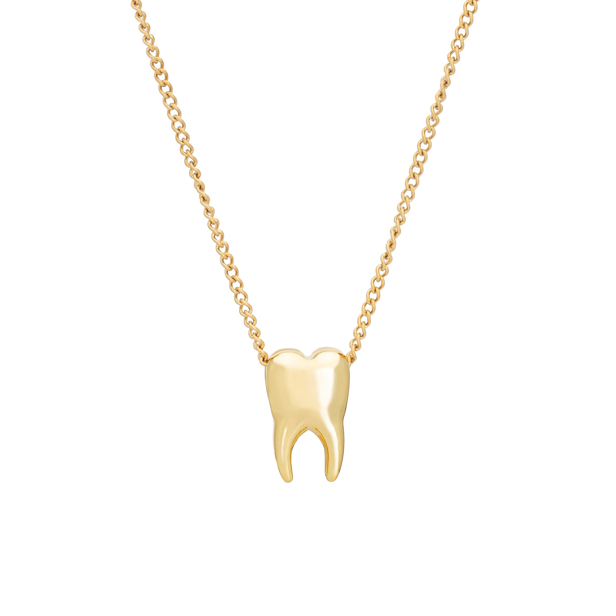 Tooth Necklace Tooth Necklace