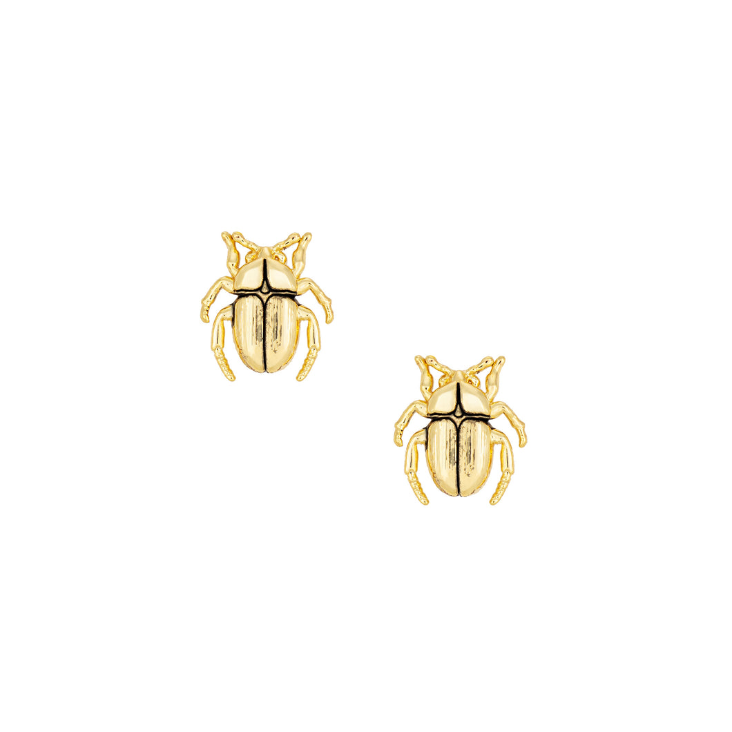 Beetle Studs