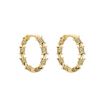 Riot Hoops