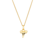Shark Tooth Necklace