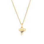 Shark Tooth Necklace