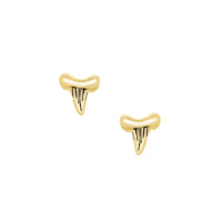 Shark Tooth Studs