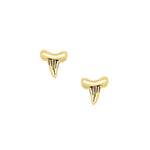 Shark Tooth Studs