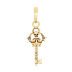 Skeleton Key Charm
