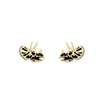 Triceratops Skull Studs