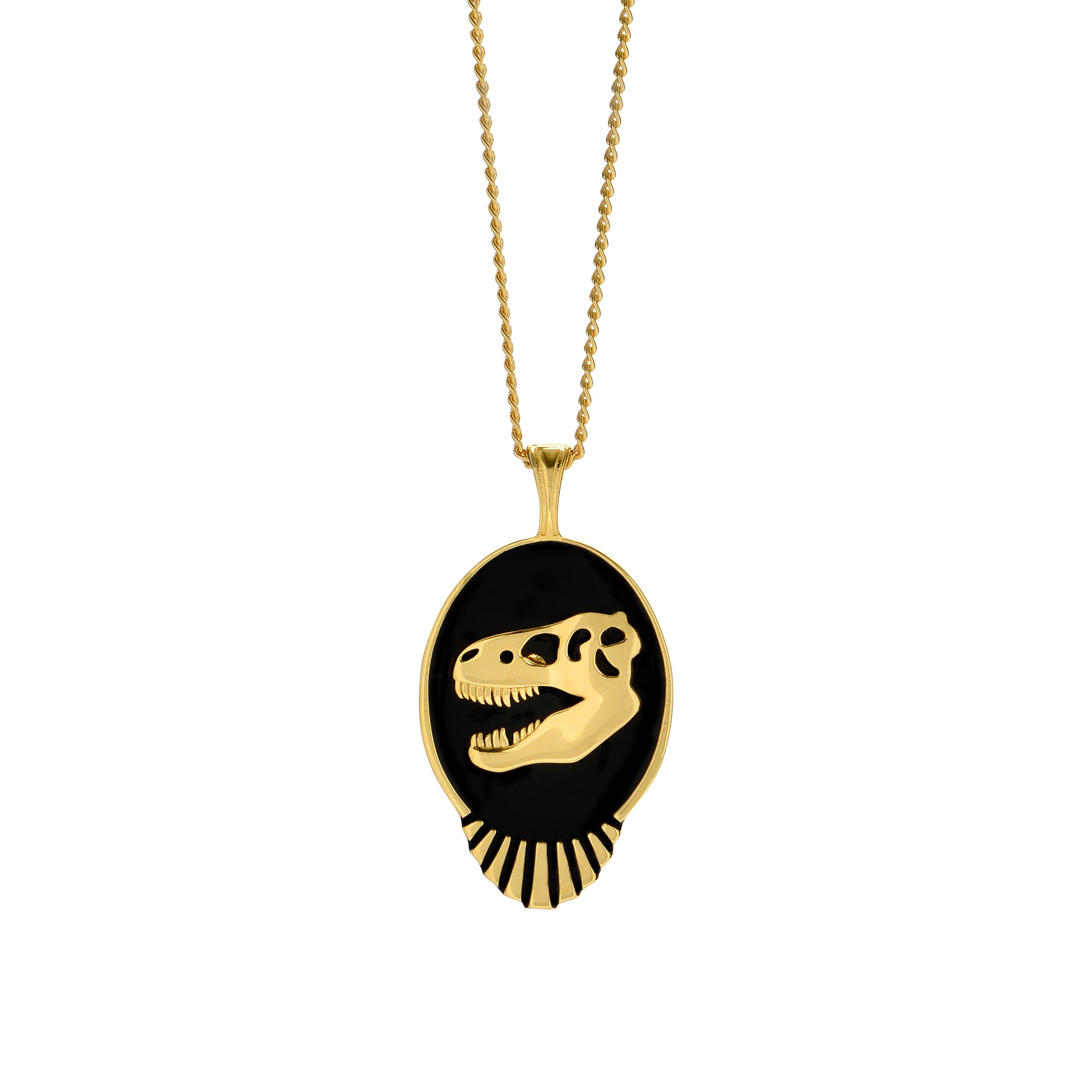Jurassic Park' 25th Anniversary Jewelry and Pin Collection | Jurassic  Outpost